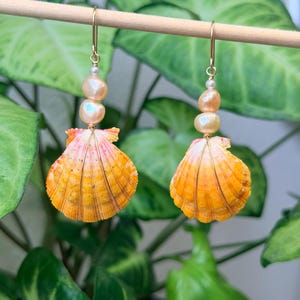 May include: A pair of dangle earrings featuring natural orange and pink scallop shells wrapped in thin gold wire. Each earring is accented with two smooth, iridescent peach-colored pearls and a small white seed pearl, suspended from gold hooks.