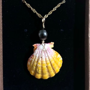 Sunrise shell necklace with Tahitian pearl (#4)