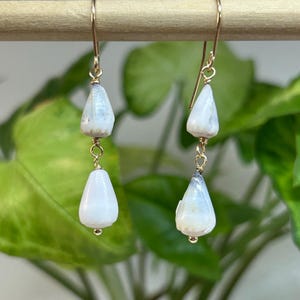 Könnte beinhalten: Ein Paar goldfarbene Ohrringe mit zweistufigem Design. Jeder Ohrring hat einen tropfenförmigen, weiß-grauen Stein, der an einem goldenen Haken hängt. Die Ohrringe werden vor einem verschwommenen grünen Hintergrund präsentiert.