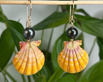 May include: A pair of seashell earrings with gold-colored hooks. Each earring features a vibrant, fan-shaped shell in shades of yellow, orange, and pink, accented with gold wire and a dark gray pearl. The earrings are displayed against a backdrop of green foliage.