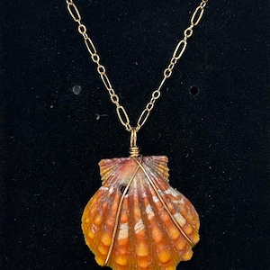 Sunrise shell necklace (#57)