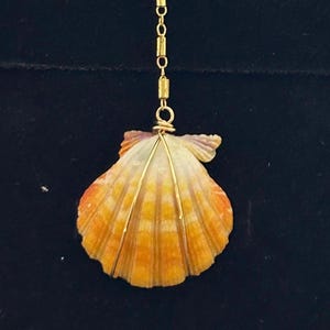 Sunrise shell necklace (Q10)