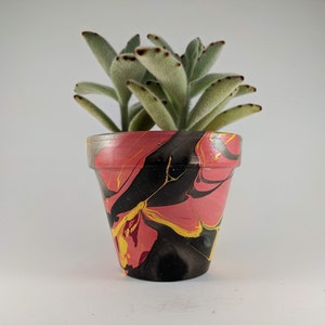 May include: A small, decorative flower pot with a succulent plant. The pot is painted with a swirling design of red, black, and yellow. The succulent has soft, green leaves with brown tips.