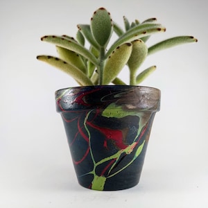 May include: A small green succulent plant with fuzzy leaves in a black terracotta pot with red, green, and yellow marbling.