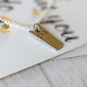Dainty Cat Necklace, Cat Charm Necklace, Cat Lover Necklace, Tiny Cat Necklace, Cat Necklace Silver, Self Gift, Cat Lover Gift