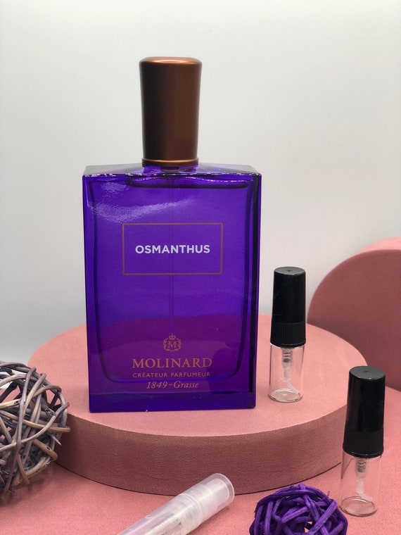Osmanthus molinard sale