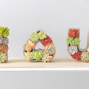 Succulent arrangement pot - Love you shape - concrete flower pot - heart pots - gift for her - cement pot