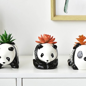 Könnte beinhalten: Drei Keramik-Panda-Pflanzer mit schwarzen und weißen Markierungen. Jeder Pflanzer hat eine andere Art von Sukkulentenpflanze, die darin wächst. Die Pflanzer stehen auf einem weißen Regal.