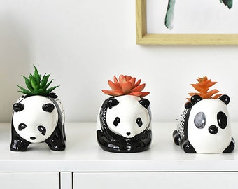 Panda ceramic pots - succulent pots - animal planters - cute pots