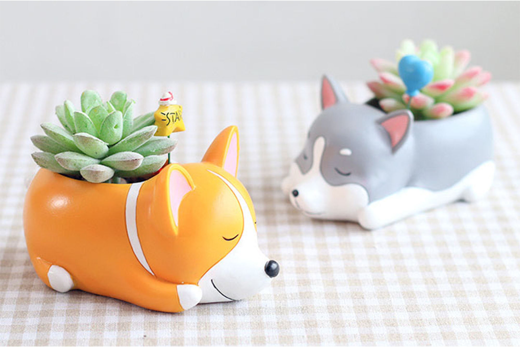 Pots Pour Animaux - Jardinières Chiens Pots Succulents Cadeau de Noël Mignons Décoration Intérieure 