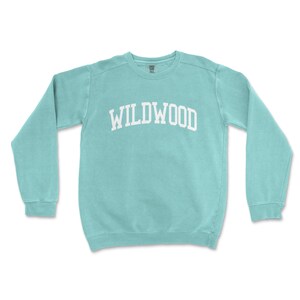 a sweatshirt with the word wildwood printed on it