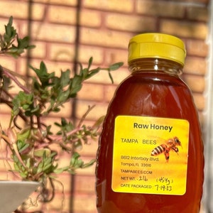 May include: A clear glass bottle of raw honey with a yellow lid. The label is yellow with black text that reads "Raw Honey", "Tampa Bees", "8612 Interbay Blvd.", "Tampa, FL 33616", "Tampabees.com", "Net Wt. - 1 lb (454g)", and "Date Packaged: 7-19-23".