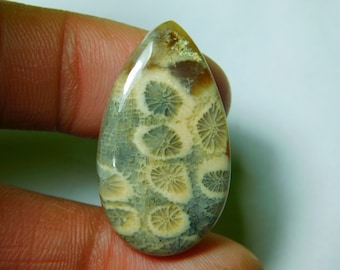 Natural Fossil Coral,Fossil Coral Cabochon,Fossil Coral Loose Gemstone,Top Quality Fossil Coral Matching Earrings Pair,29x22x4 mm,42.10 Cts