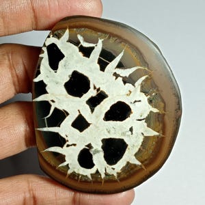 Black Septarian Slice Cabochon: Gemstone for Jewelry Making (64X52 MM, 193 Cts.)