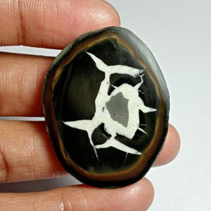 Black Septarian Slice Cabochon: Loose Gemstone for Jewelry Making (58Cts, 39x30mm) #50
