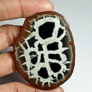Black Septarian Slice Cabochon: Loose Gemstone for Jewelry Making (61X48 MM, 165 Cts.)