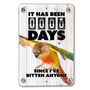 Flying Green Cheek Conure Bite Sign | Green Cheek Conure Parrot Sign