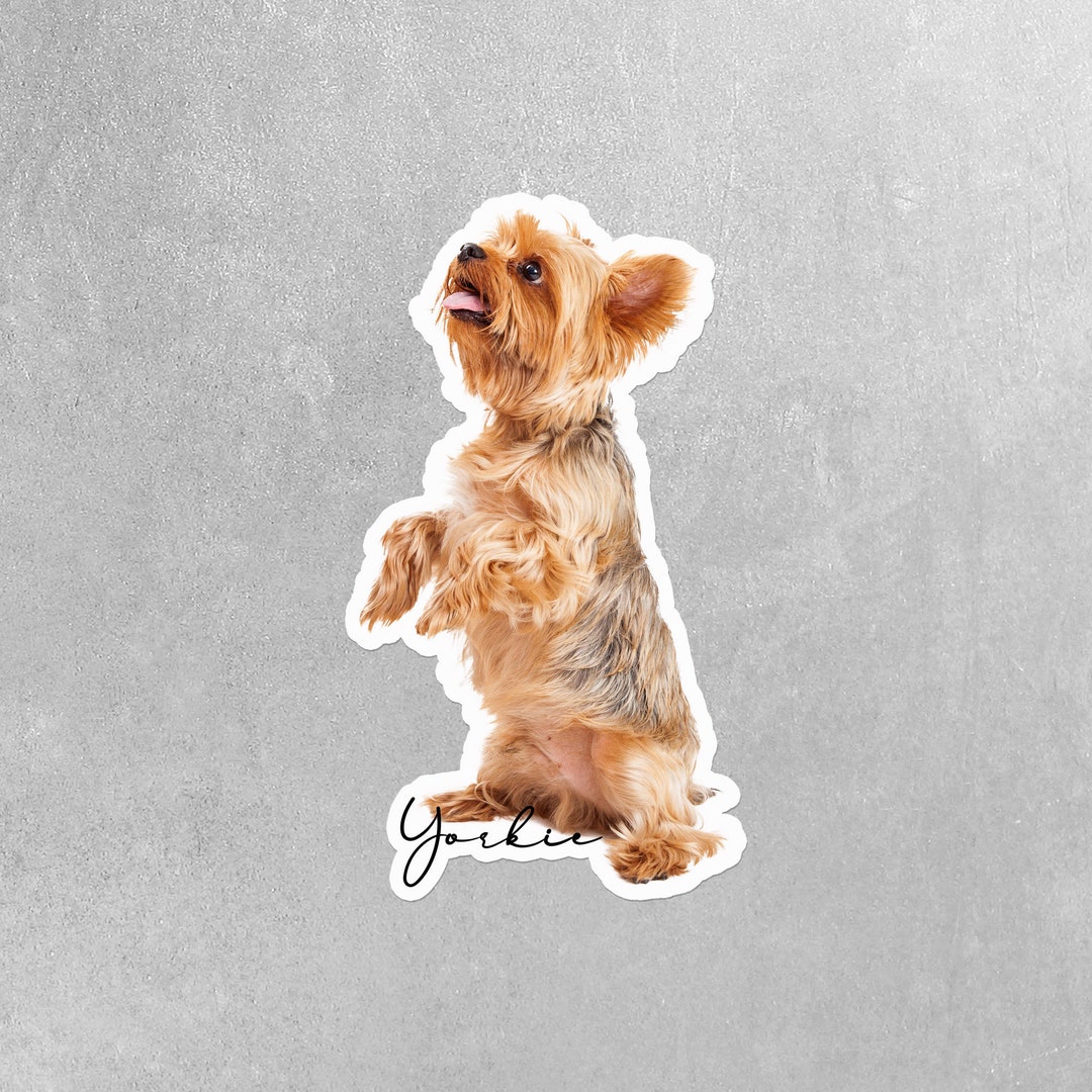Yorkie Sticker | Yorkie Stickers | Yorkie Sitting Stickers - Etsy