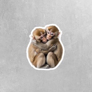 Hugging Monkeys Sticker | Cute Monkeys Decal for Laptop, Water Bottle, & Planner - Adorable Monkeys Gift for Any Occasion
