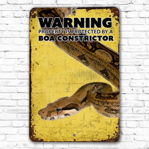 boa constrictor starter kit