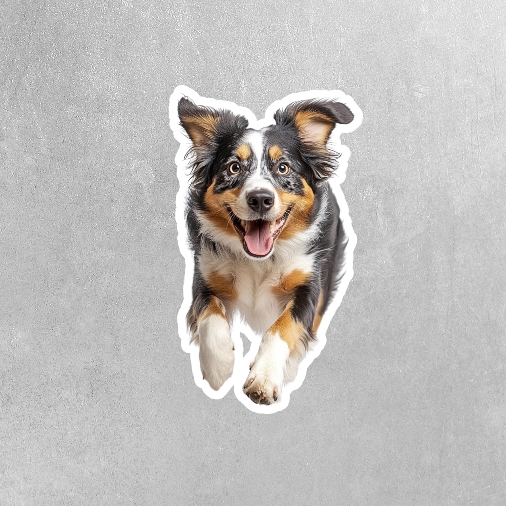 Australian Shepherd Dog Tag