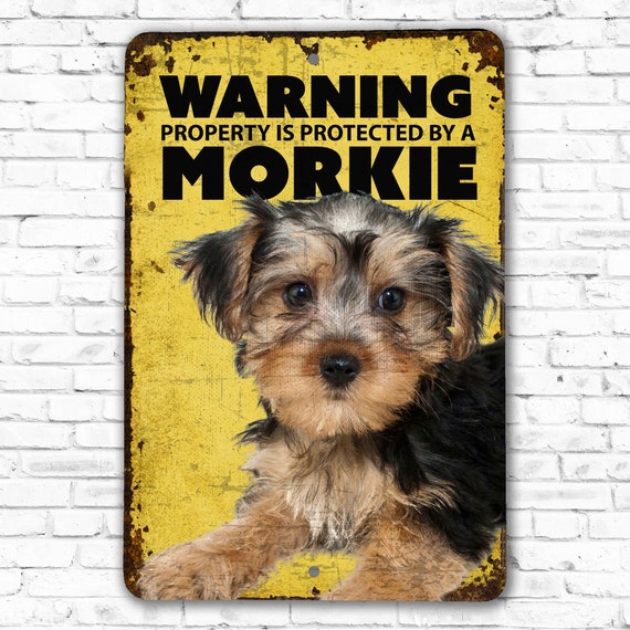 Morkie Phone Case Wallet Morkie Phone Case Wallet