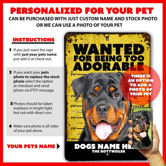 Rottweiler top license plates