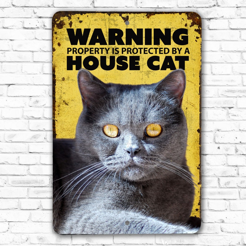 Warning House Cat Sign | Cat Warning Sign | House Cat Sign - Etsy