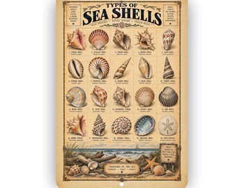 Types of Seashells Aluminum Sign – Vintage Coastal Beach Wall Decor