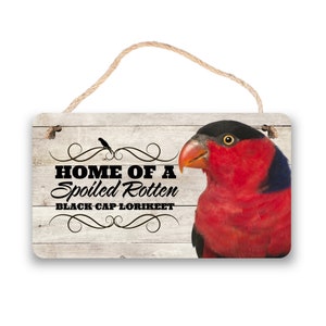 Lorikeet Schild | Verwöhnte Rotten Lori Zeichen