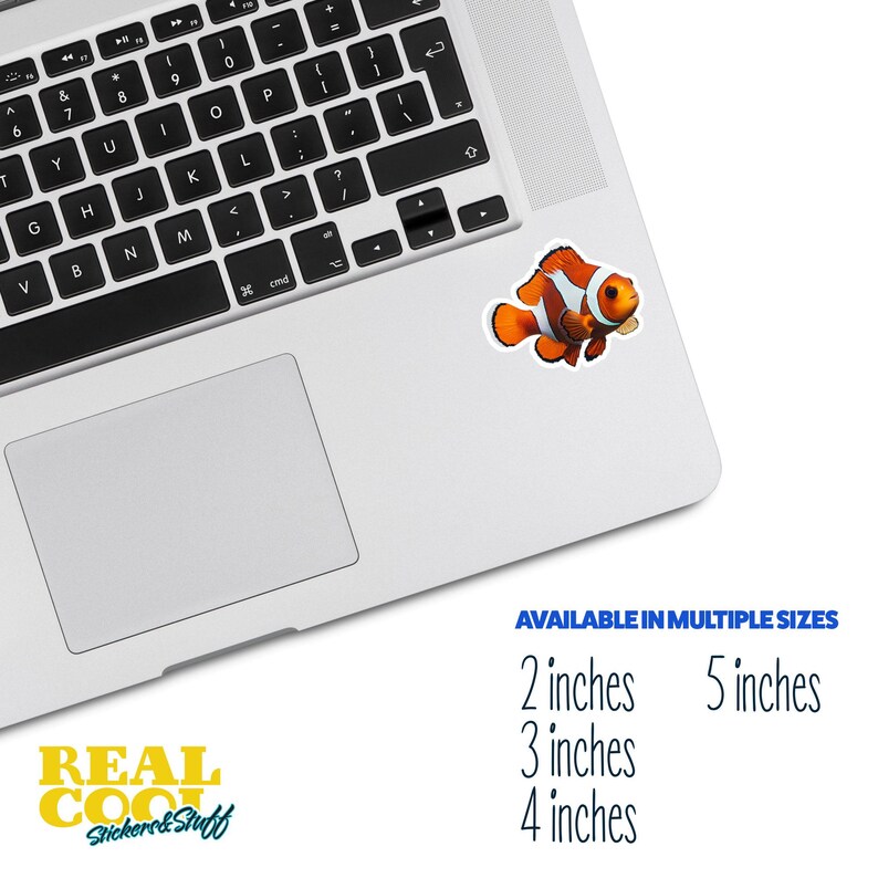 Clown Fish Sticker | Colorful Clown Fish Decal for Water Bottles ...