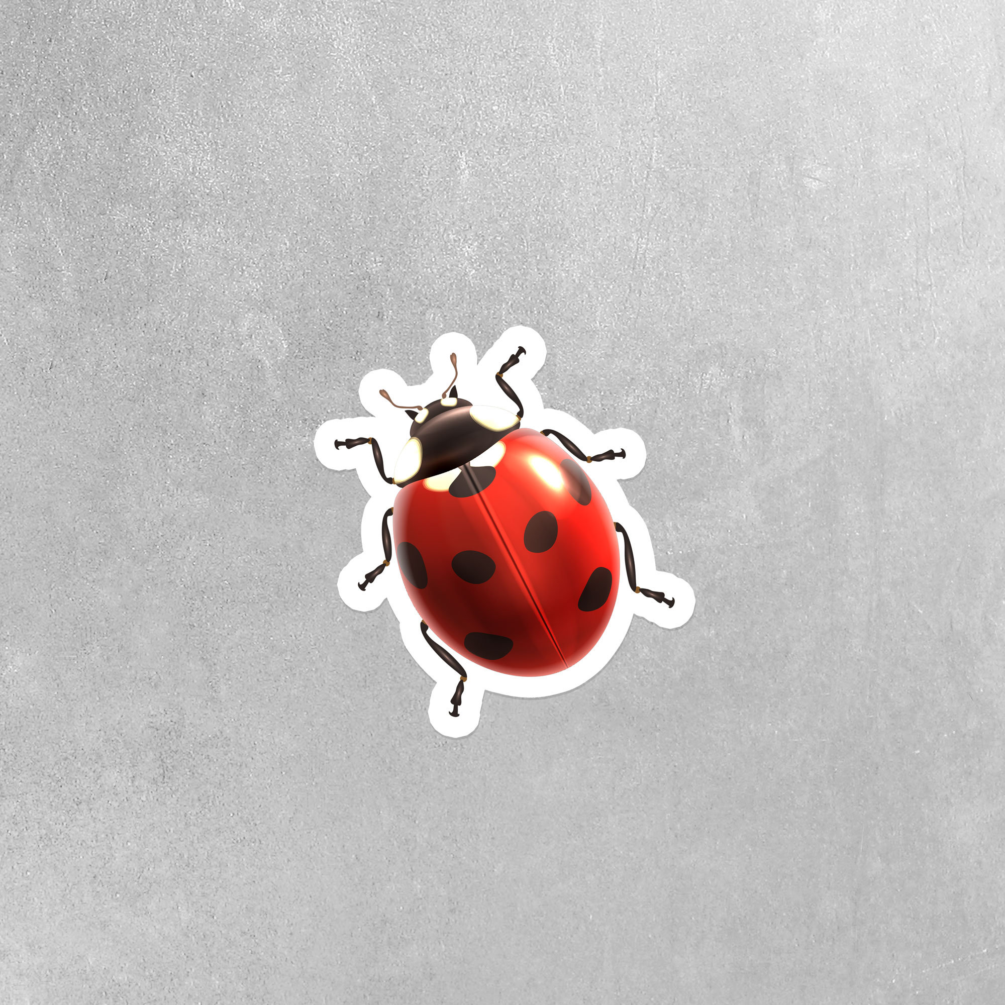 Ladybug Sticker Ladybug Decal Vinyl Ladybugs Insect Etsy