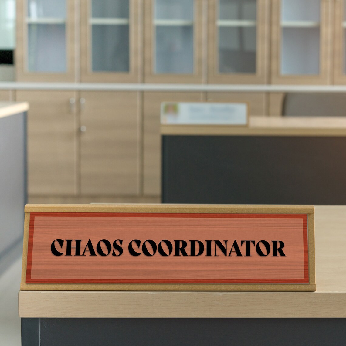 Desk Name Plate Office Name Plate Funny Office Name Plate Etsy