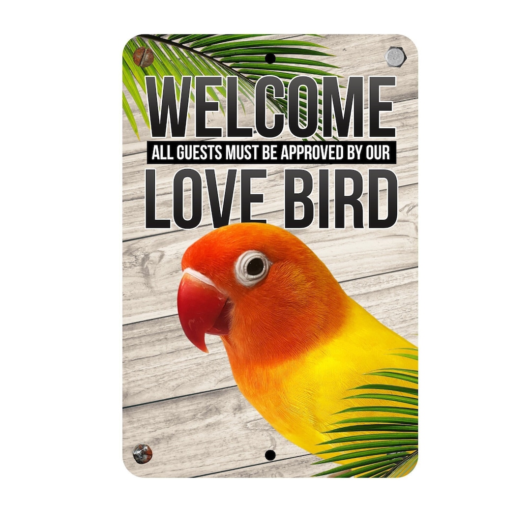 Love Bird Sign Love Bird Sign Etsy