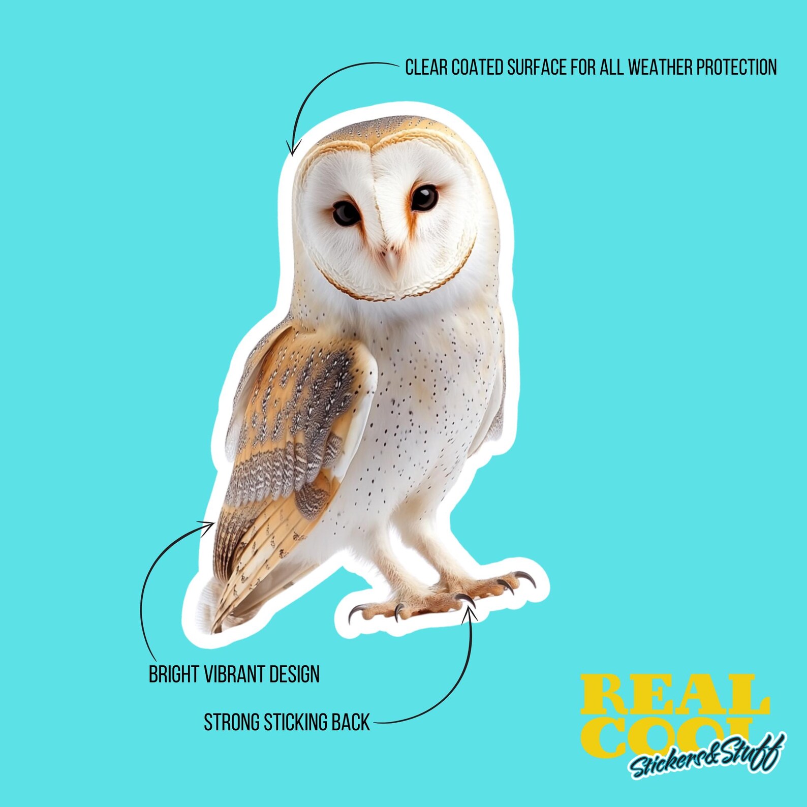 Barn Owl Sticker | Cute Wildlife Decal for Nature Lovers | Perfect Gift ...