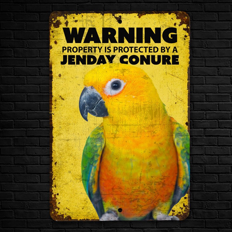 Warning Jenday Conure Sign Parrot Warning Sign Jenday Conure Parrot Sign image 2