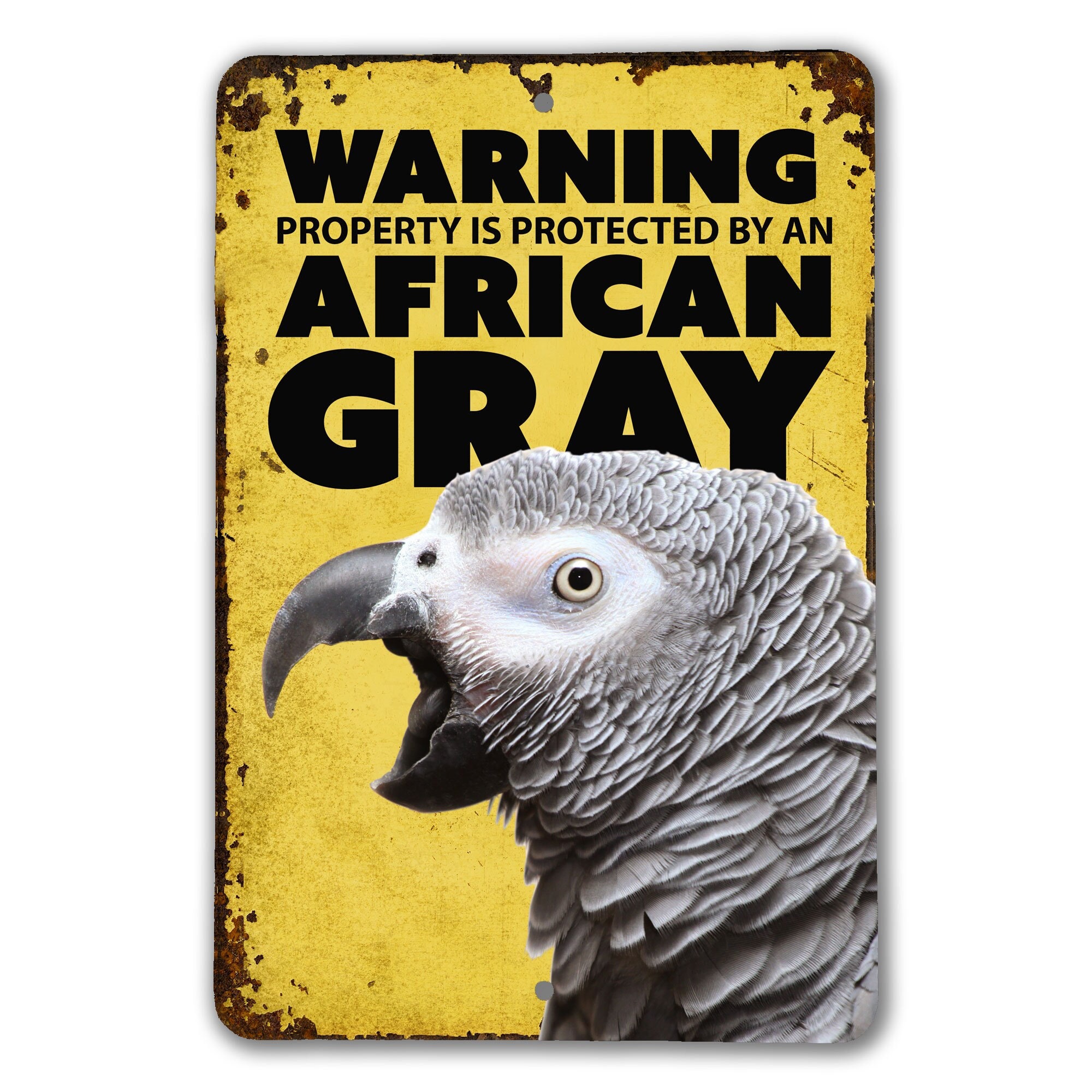 Warning African Gray Sign | African Gray Warning Sign | African Gray Parrot Sign