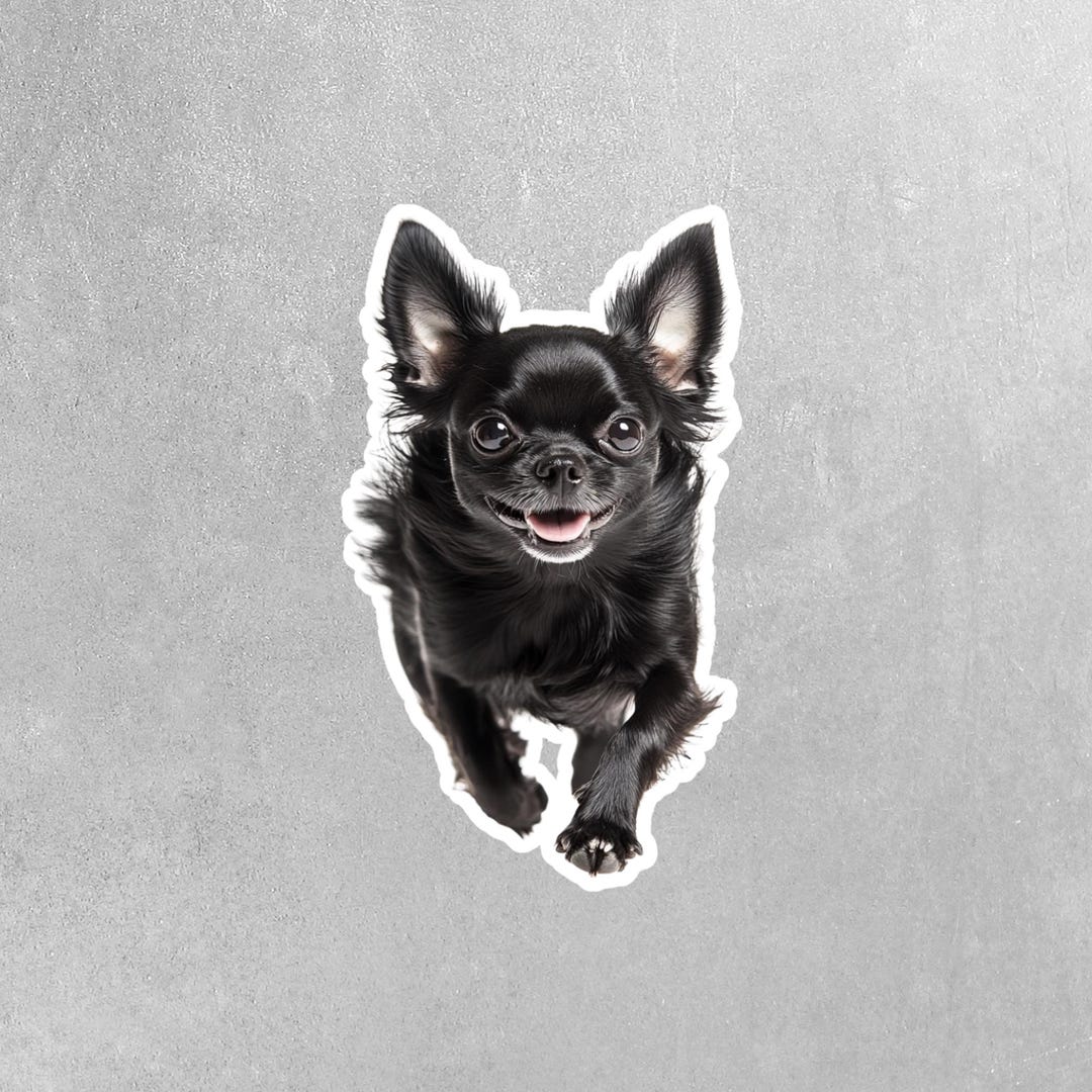 Black Chihuahua Sticker | Cute Chihuahua Decal for Dog Lovers ...