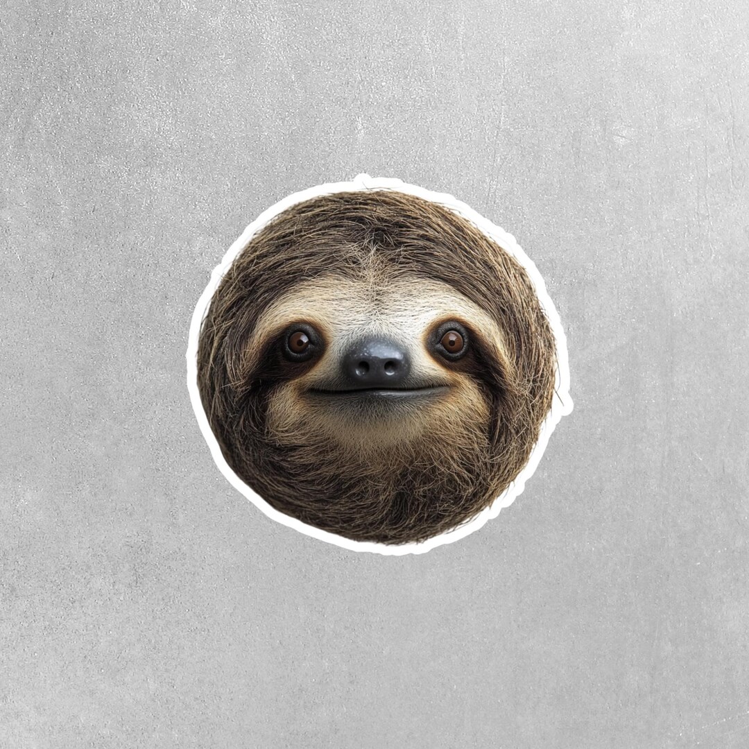 Sloth Sticker - Sloth Head Sticker - Sloth Decal - Etsy