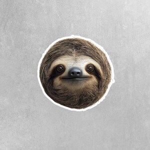 Sloth Sticker - Sloth Head Sticker - Sloth Decal