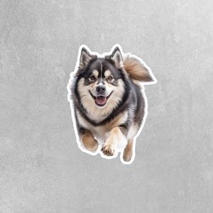 Alaskan Malamute Sticker | Running Alaskan Malamute Sticker