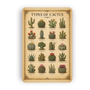 Puede incluir: Un póster rectangular titulado TYPES OF CACTUS que presenta veinte ilustraciones numeradas de varias especies de cactus en tonos verdes y marrones con flores rosas, amarillas y blancas, sobre un fondo de papel beige de estilo vintage.