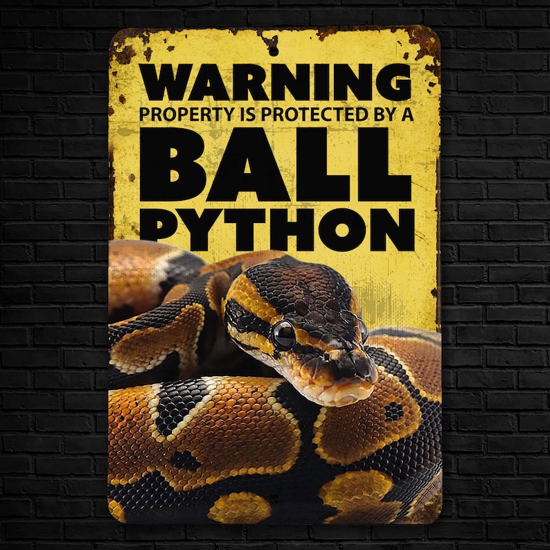 May include: A yellow warning sign with black text that reads "Warning Property is protected by a Ball Python". A ball python is curled up on the sign.