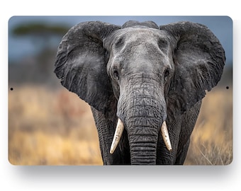 Elephant Metal Print Sign, Safari Wildlife Wall Art, African Elephant Decor, Rustic Cabin Lodge Decor, Elephant Aluminum Sign