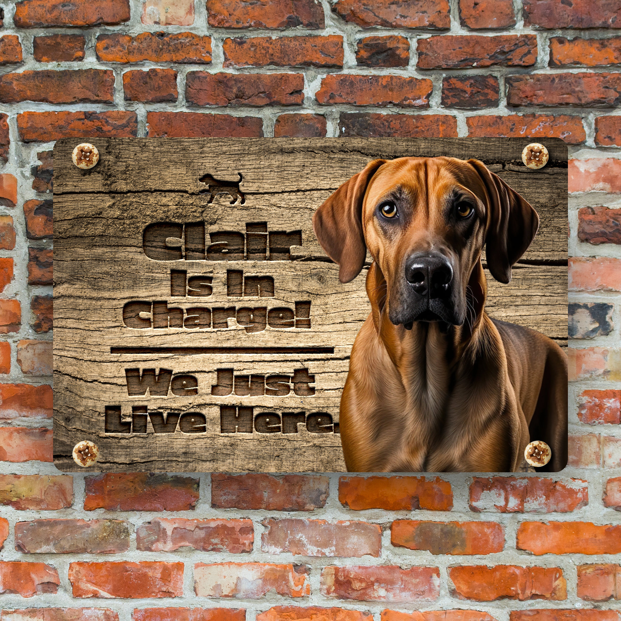 Rhodesian Ridgeback Sign Personalized Rhodesian Ridgeback Sign | Dog Warning Sign | Rhodesian ...