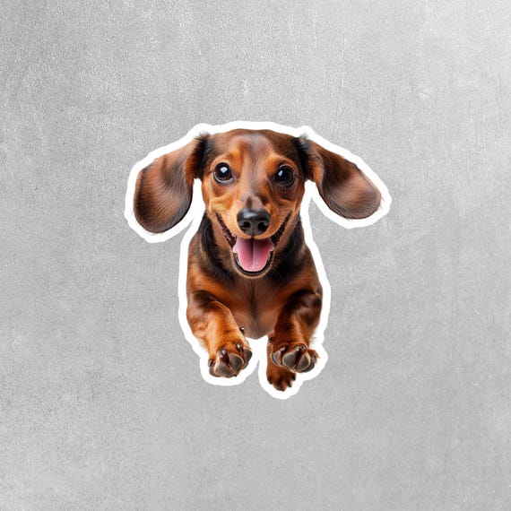 Dachshund Running Sticker Brown Dachshund Decal for Water