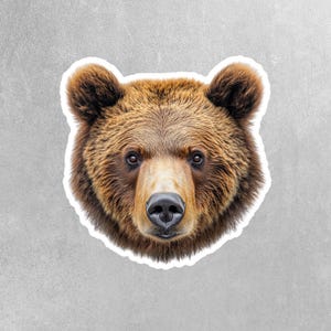 Grizzly Bear Sticker | Brown Bear Decal | Grizzly Bear Decal