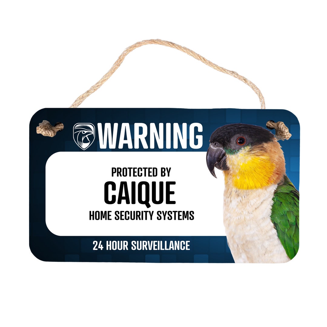 Warning Caique Parrot Security Sign Black Capped Caique Sign Etsy