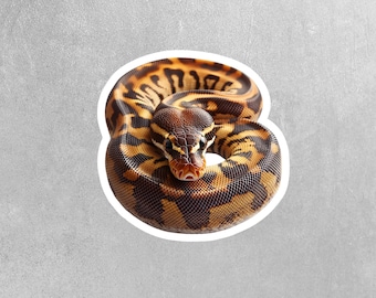 Ball Python Sticker - Python Sticker - Ball Python Decal