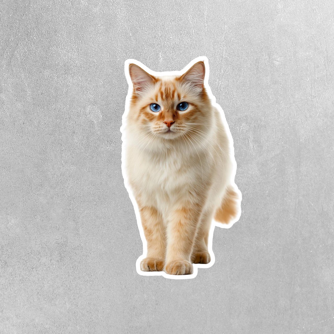 Thai Red Point Cat Sticker | Cat Sticker | Cat Decal - Etsy